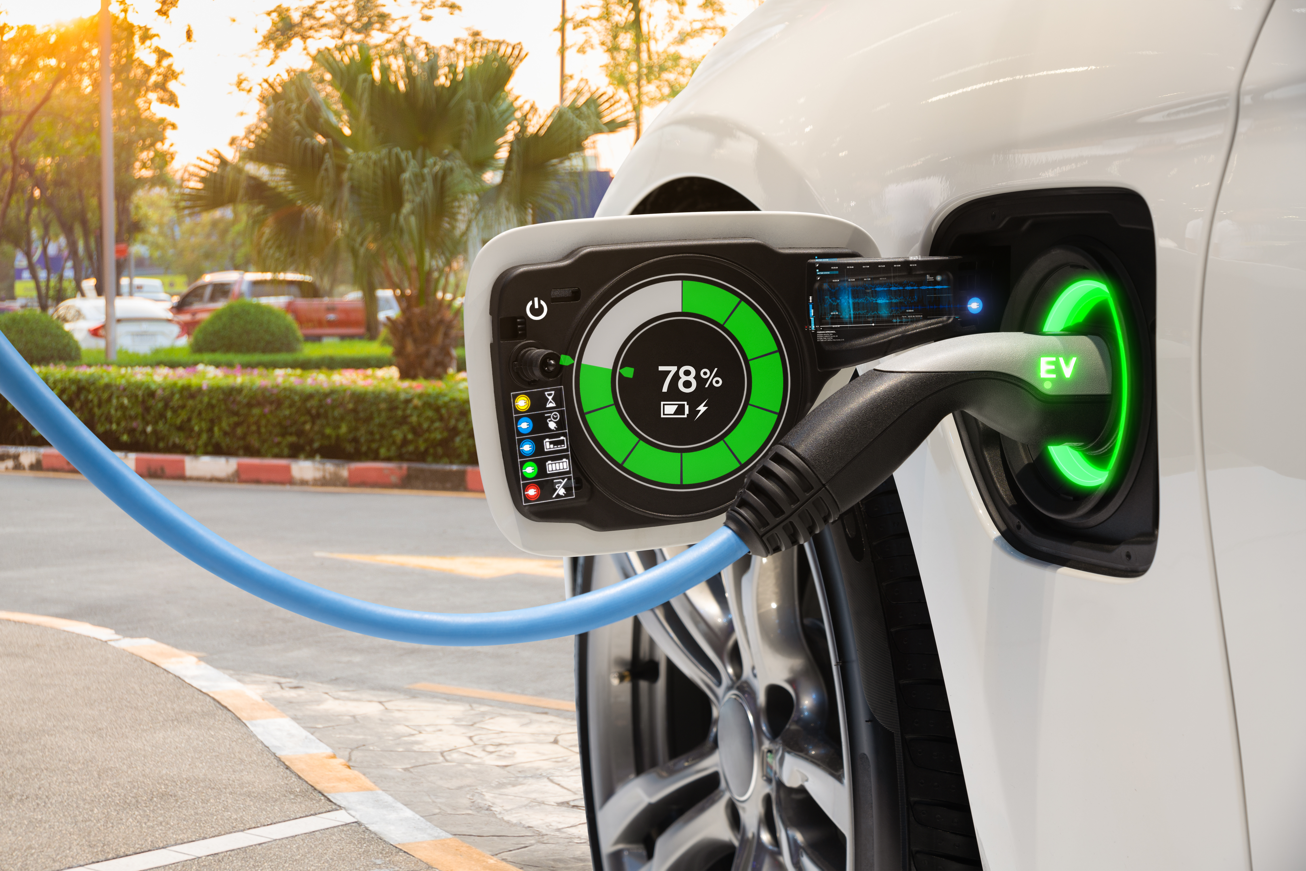 Electric Cars and Policy for Australia