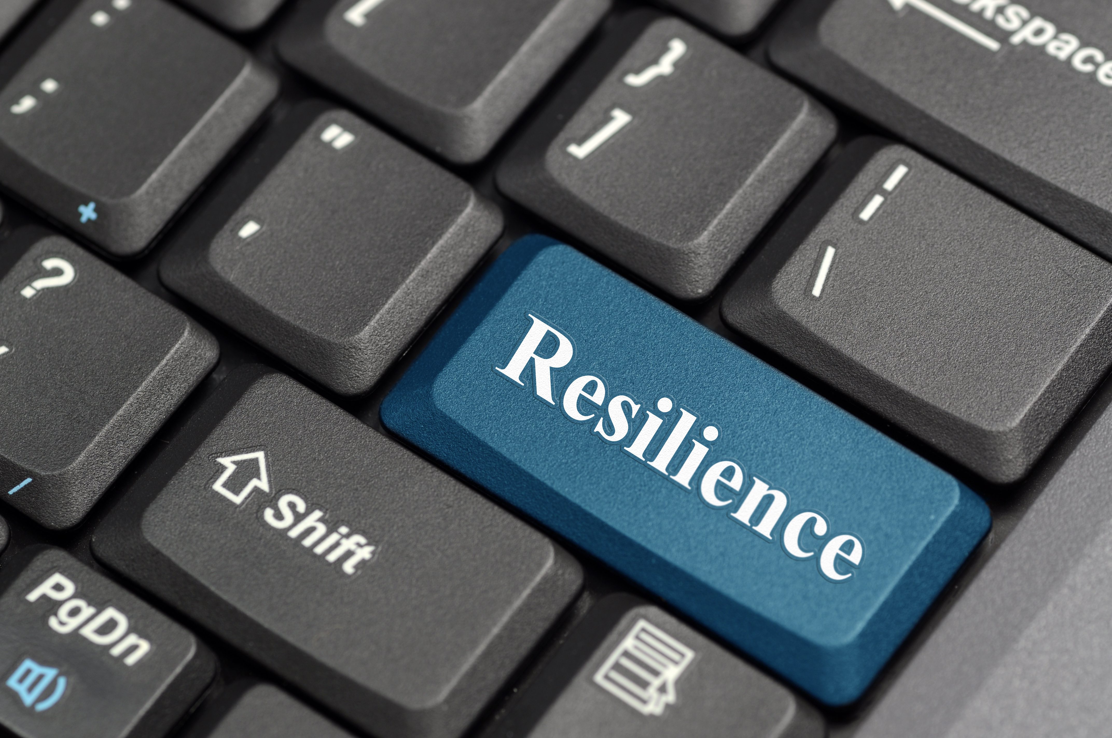 Resilience in Leadership