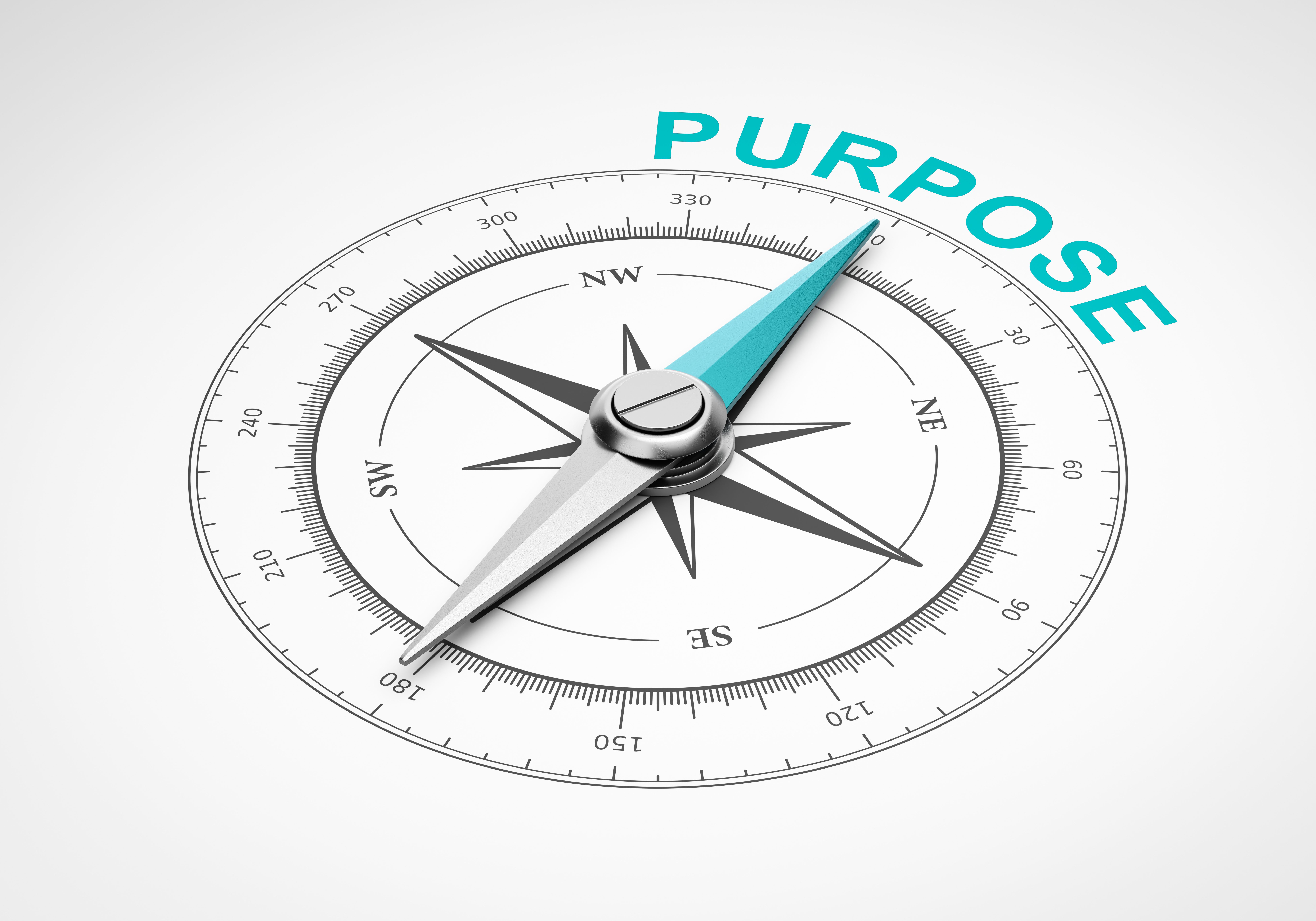 Discovering our Purpose